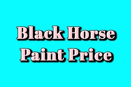 Black Horse Paint Price in Pakistan